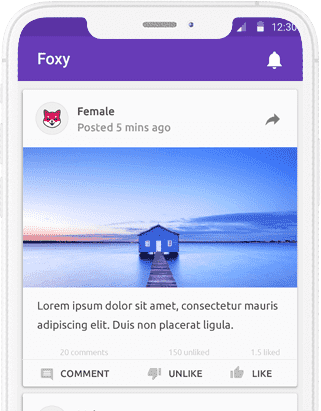 Foxy - Anonymous Social Network Android App| Laravel PHP Backend | Anonymous Complete App at XSoft Develop labworks